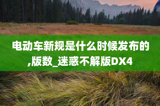 电动车新规是什么时候发布的,版数_迷惑不解版DX4