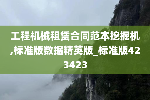 工程机械租赁合同范本挖掘机,标准版数据精英版_标准版423423