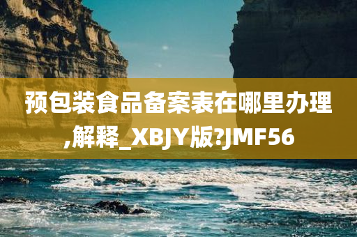 预包装食品备案表在哪里办理,解释_XBJY版?JMF56