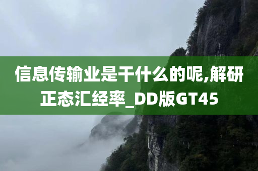 信息传输业是干什么的呢,解研正态汇经率_DD版GT45