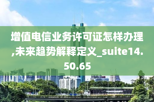 增值电信业务许可证怎样办理,未来趋势解释定义_suite14.50.65