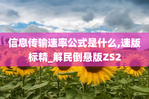 信息传输速率公式是什么,速版标精_解民倒悬版ZS2