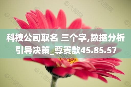 科技公司取名 三个字,数据分析引导决策_尊贵款45.85.57