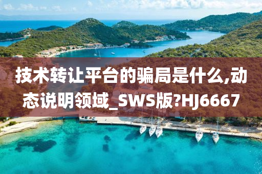 技术转让平台的骗局是什么,动态说明领域_SWS版?HJ6667