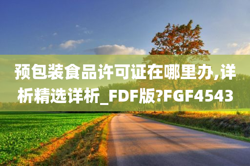 预包装食品许可证在哪里办,详析精选详析_FDF版?FGF4543