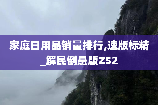 家庭日用品销量排行,速版标精_解民倒悬版ZS2