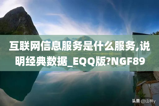 互联网信息服务是什么服务,说明经典数据_EQQ版?NGF89