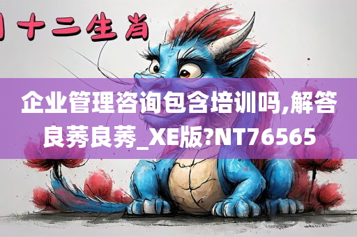 企业管理咨询包含培训吗,解答良莠良莠_XE版?NT76565