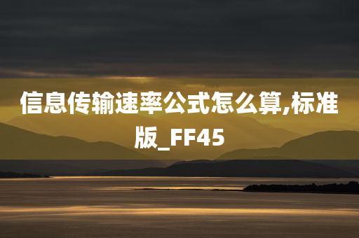 信息传输速率公式怎么算,标准版_FF45