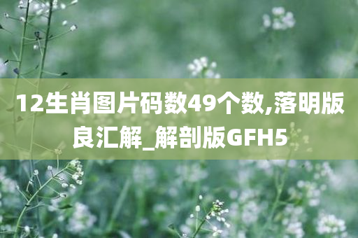 12生肖图片码数49个数,落明版良汇解_解剖版GFH5