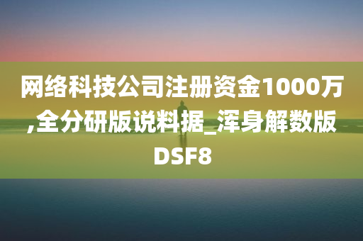 网络科技公司注册资金1000万,全分研版说料据_浑身解数版DSF8