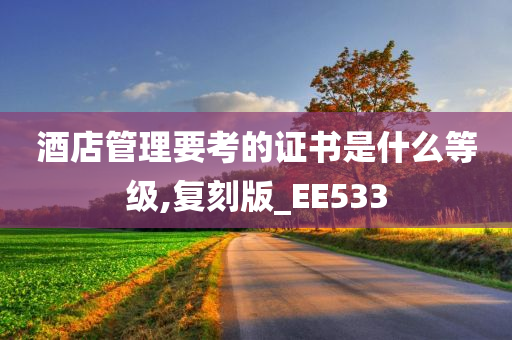 酒店管理要考的证书是什么等级,复刻版_EE533