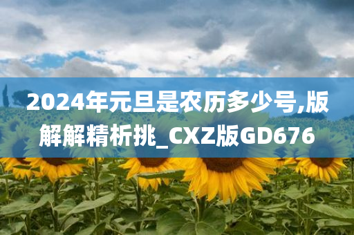 2024年元旦是农历多少号,版解解精析挑_CXZ版GD676