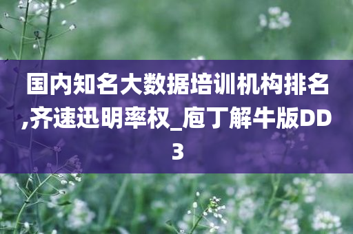 国内知名大数据培训机构排名,齐速迅明率权_庖丁解牛版DD3