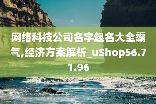 网络科技公司名字起名大全霸气,经济方案解析_uShop56.71.96