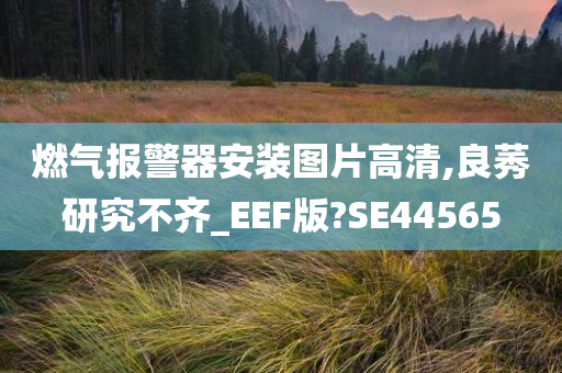 燃气报警器安装图片高清,良莠研究不齐_EEF版?SE44565