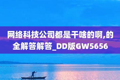 网络科技公司都是干啥的啊,的全解答解答_DD版GW5656