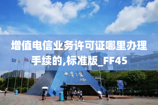 增值电信业务许可证哪里办理手续的,标准版_FF45