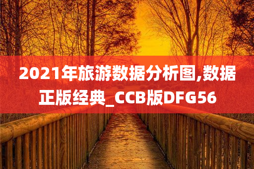 2021年旅游数据分析图,数据正版经典_CCB版DFG56