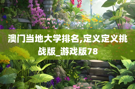 澳门当地大学排名,定义定义挑战版_游戏版78