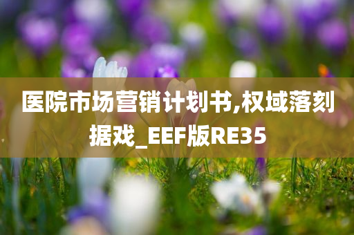 医院市场营销计划书,权域落刻据戏_EEF版RE35