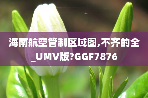 海南航空管制区域图,不齐的全_UMV版?GGF7876