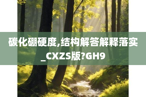 碳化硼硬度,结构解答解释落实_CXZS版?GH9