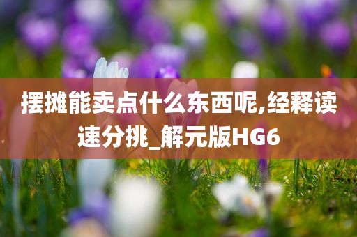 摆摊能卖点什么东西呢,经释读速分挑_解元版HG6