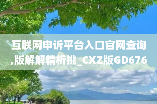 互联网申诉平台入口官网查询,版解解精析挑_CXZ版GD676