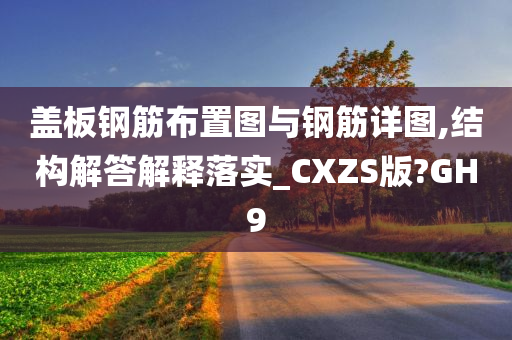 盖板钢筋布置图与钢筋详图,结构解答解释落实_CXZS版?GH9