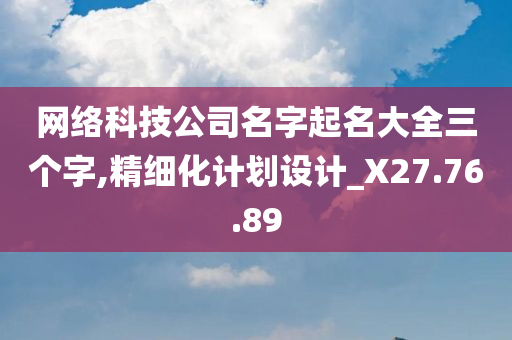 网络科技公司名字起名大全三个字,精细化计划设计_X27.76.89