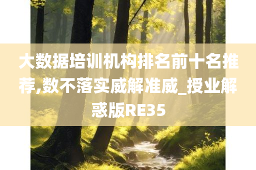 大数据培训机构排名前十名推荐,数不落实威解准威_授业解惑版RE35