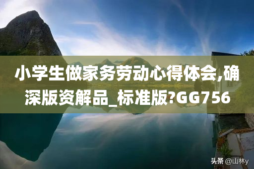 小学生做家务劳动心得体会,确深版资解品_标准版?GG756