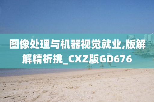 图像处理与机器视觉就业,版解解精析挑_CXZ版GD676