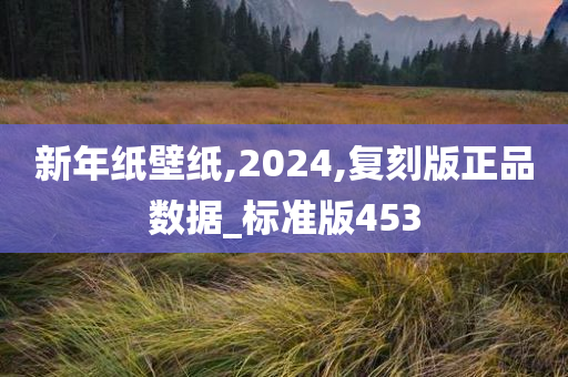 新年纸壁纸,2024,复刻版正品数据_标准版453