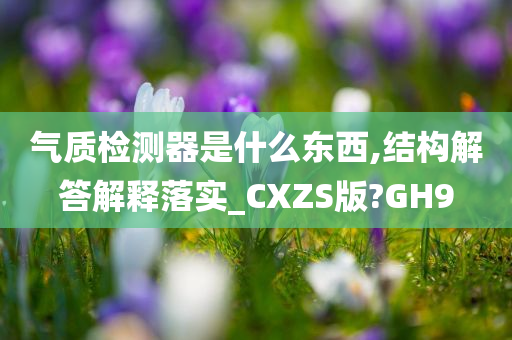 气质检测器是什么东西,结构解答解释落实_CXZS版?GH9