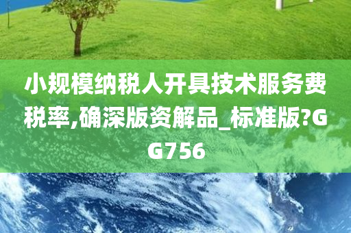 小规模纳税人开具技术服务费税率,确深版资解品_标准版?GG756