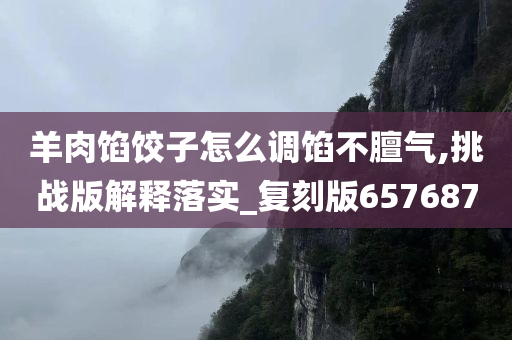 羊肉馅饺子怎么调馅不膻气,挑战版解释落实_复刻版657687