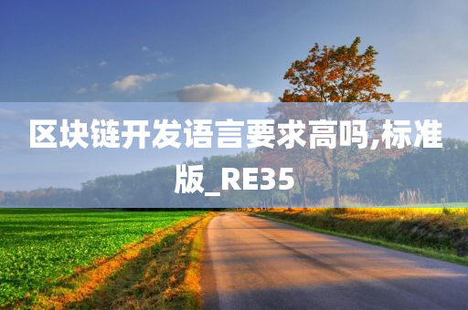 区块链开发语言要求高吗,标准版_RE35