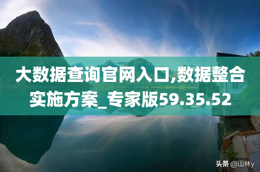 大数据查询官网入口,数据整合实施方案_专家版59.35.52