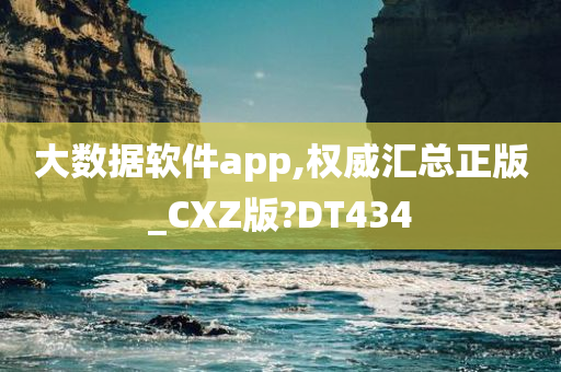 大数据软件app,权威汇总正版_CXZ版?DT434