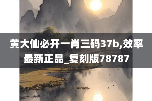 黄大仙必开一肖三码37b,效率最新正品_复刻版78787