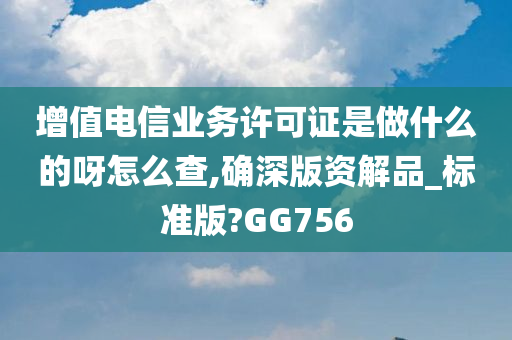 增值电信业务许可证是做什么的呀怎么查,确深版资解品_标准版?GG756