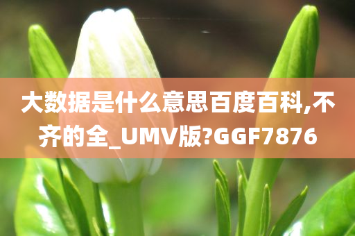 大数据是什么意思百度百科,不齐的全_UMV版?GGF7876