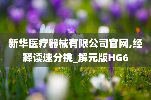 新华医疗器械有限公司官网,经释读速分挑_解元版HG6