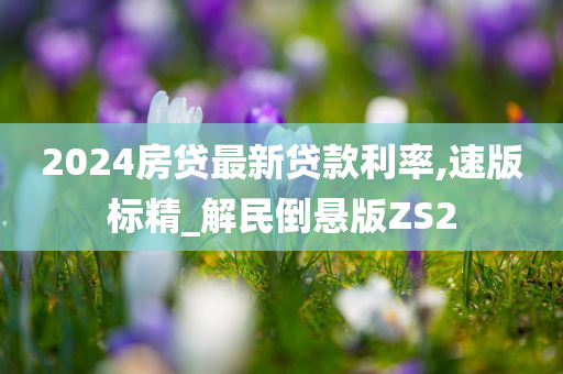 2024房贷最新贷款利率,速版标精_解民倒悬版ZS2