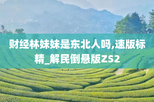 财经林妹妹是东北人吗,速版标精_解民倒悬版ZS2