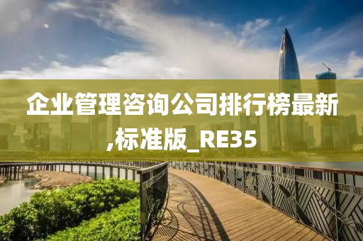 企业管理咨询公司排行榜最新,标准版_RE35