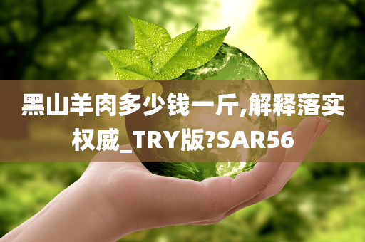 黑山羊肉多少钱一斤,解释落实权威_TRY版?SAR56