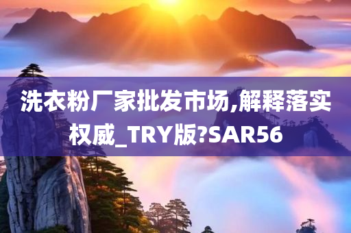 洗衣粉厂家批发市场,解释落实权威_TRY版?SAR56